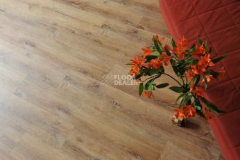 Кварцвиниловые полы Ecoclick Rich клеевой 2.5мм NOX-2059 Дуб Марракеш фото 1 | FLOORDEALER